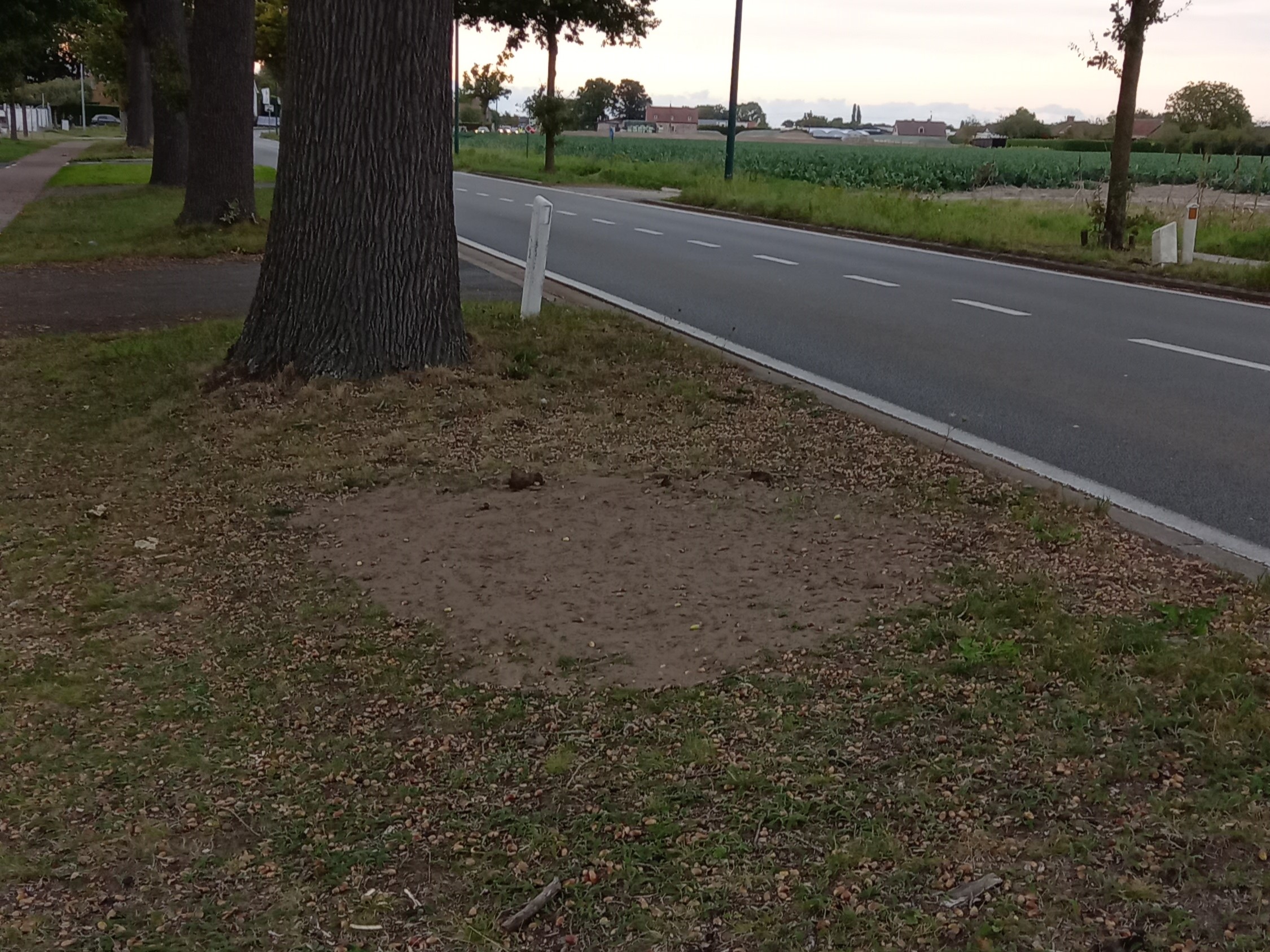 verdwenen UFO-Monument in Lotenhulle